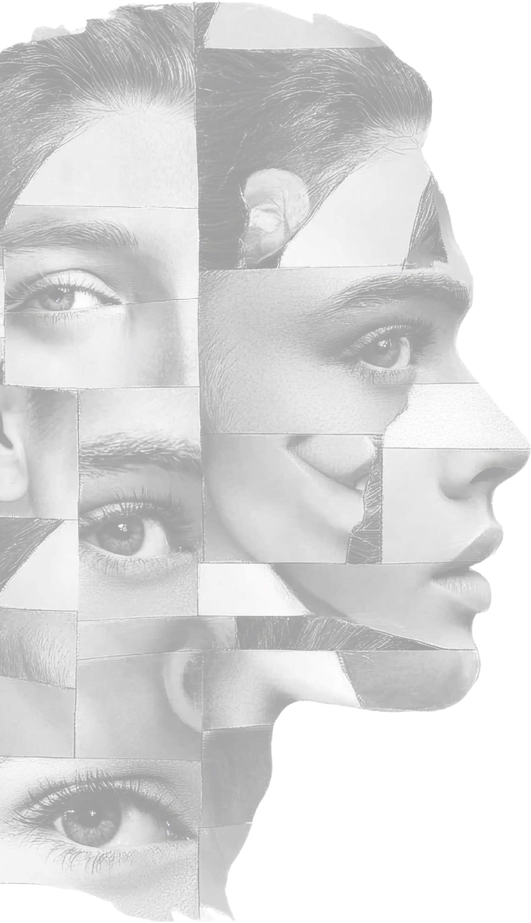 Holistic Brand Experiences
