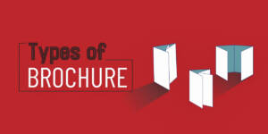 Types of Brochures Cover Image